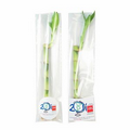 8" Lucky Bamboo Stalk in Protective Bag w/ Custom Label
